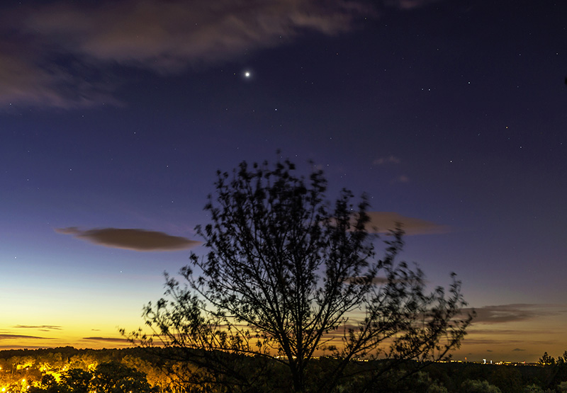 Vénus et Spica Assas